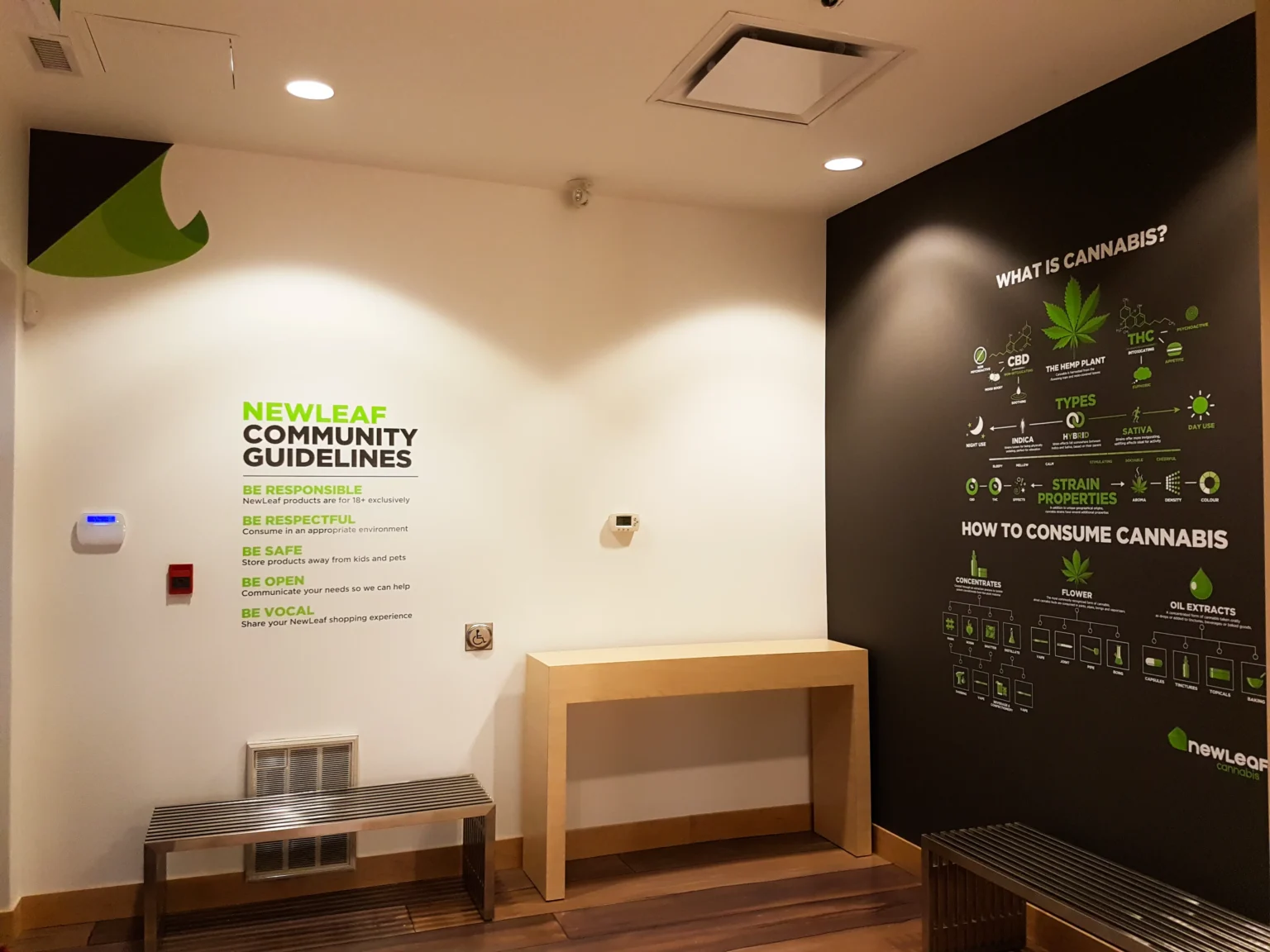 New Leaf wall graphics